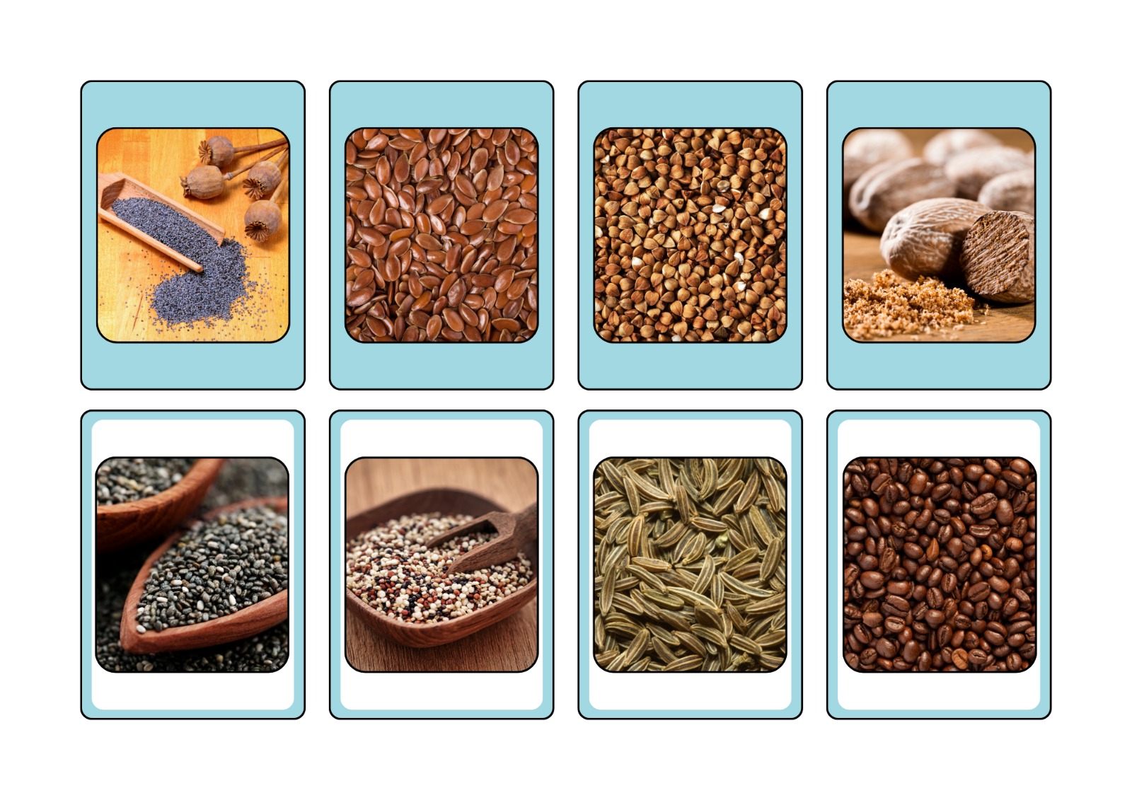 Agriculture & food